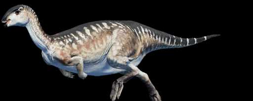 Особенности анатомии дриозавров