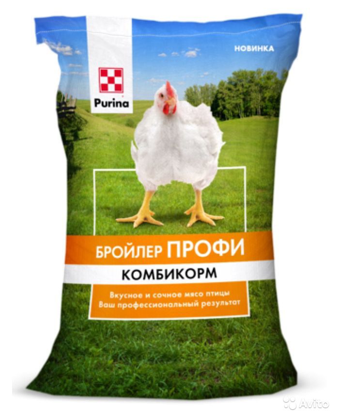 О наболевшем!о кормах для цыплят бройлеров | fermer.ru - фермер.ру - главный фермерский портал - все о бизнесе в сельском хозяйстве. форум фермеров.