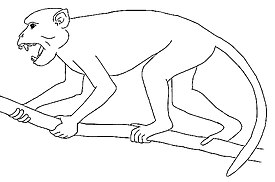 Египтопитек — вымерший примат из древнего Египта