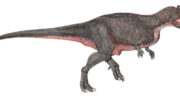 Экриксинатозавр — описание, характеристики и основные черты этого древнего ящерообразного динозавра
