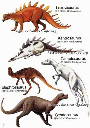 Окружающая среда: Где обитал элафрозавр?