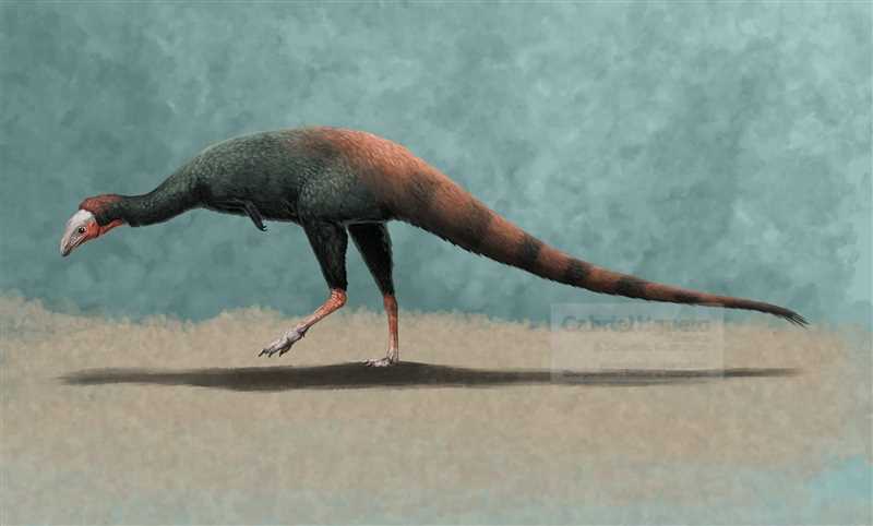 Элафрозавр (Elaphrosaurus)