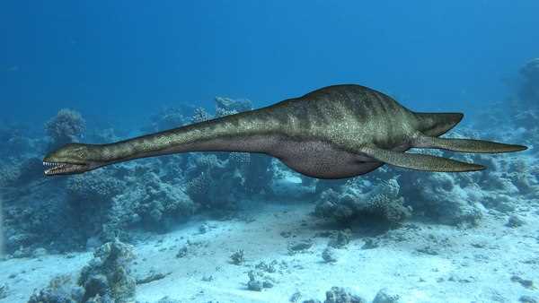 Роль эласмозавра в исследованиях древних морских экосистем