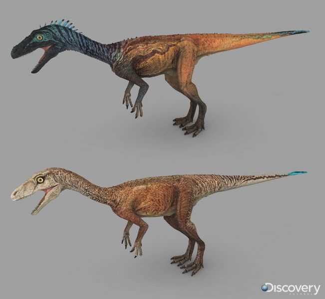 Эораптор (Eoraptor)