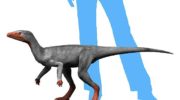 Эораптор — первый из рода динозавров