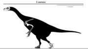 Эрликозавр (Erlikosaurus) — описание, особенности и характеристики