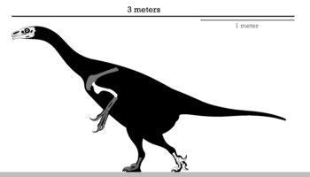 Эрликозавр (Erlikosaurus) — описание, особенности и характеристики
