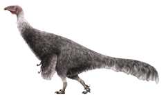 Эрликозавр (Erlikosaurus)