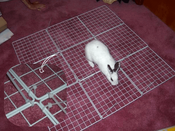 Как сделать клетку для декоративного кролика