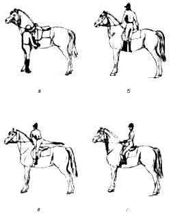 Сесть на коня: что нужно знать о верховой езде новичку