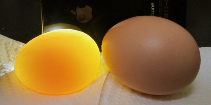 Почему куры несут яйца без скорлупы и что делать в таком случае?