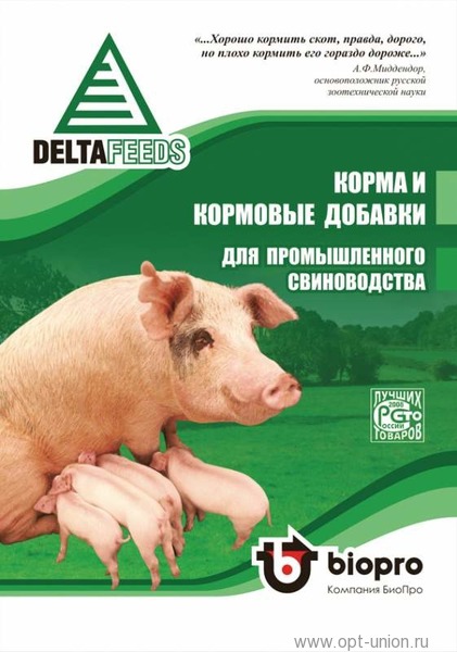 Рацион питания свиней для быстрого роста в домашнем хозяйстве