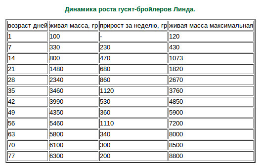 Вес бройлеров по дням и месяцам: таблица набора