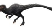 Гетеродонтозавр (Heterodontosaurus)