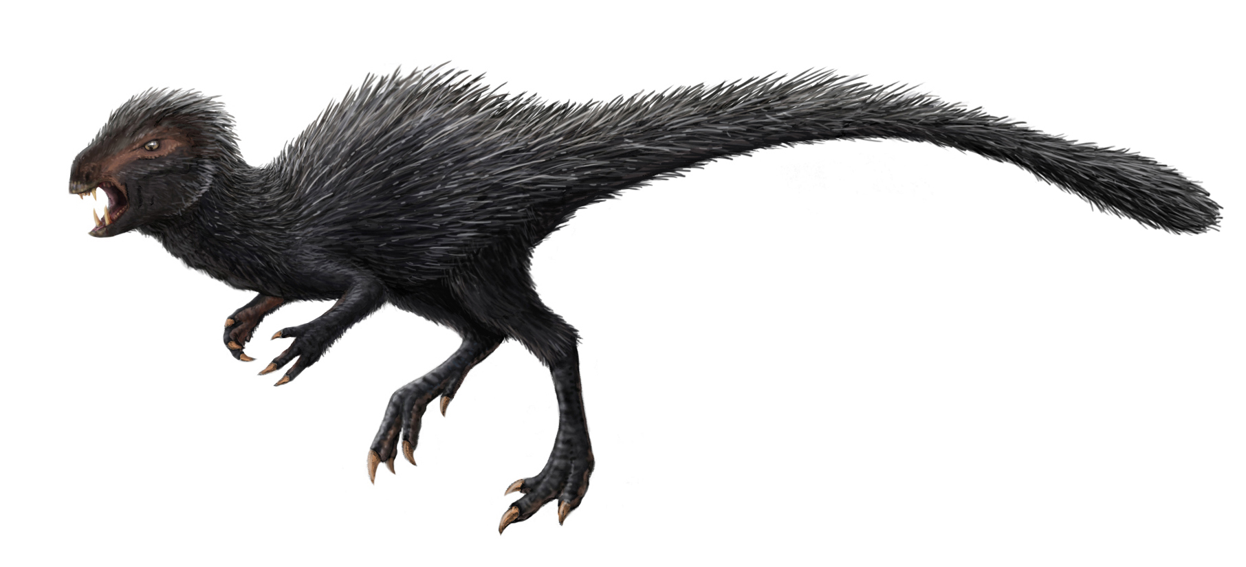 Гетеродонтозавр (Heterodontosaurus)