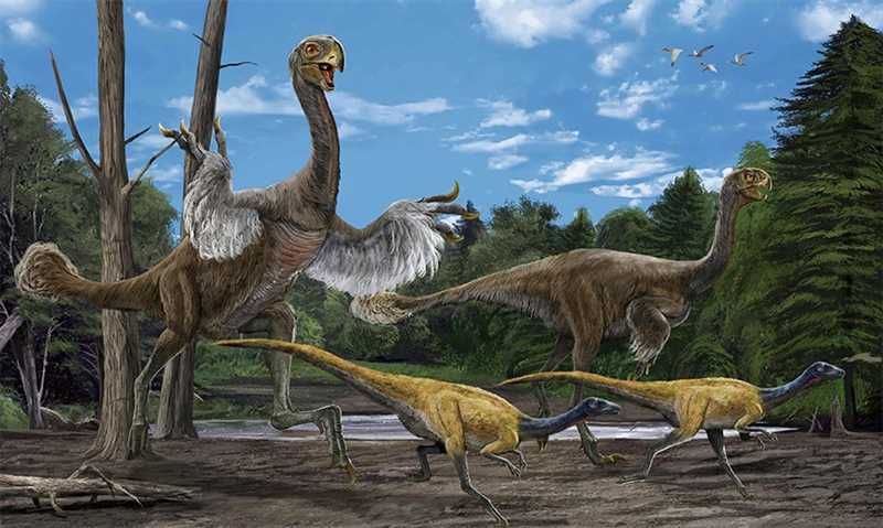 Гигантораптор (Gigantoraptor)