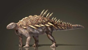 Гилеозавр (Hylaeosaurus): как выглядел динозавр и где он жил