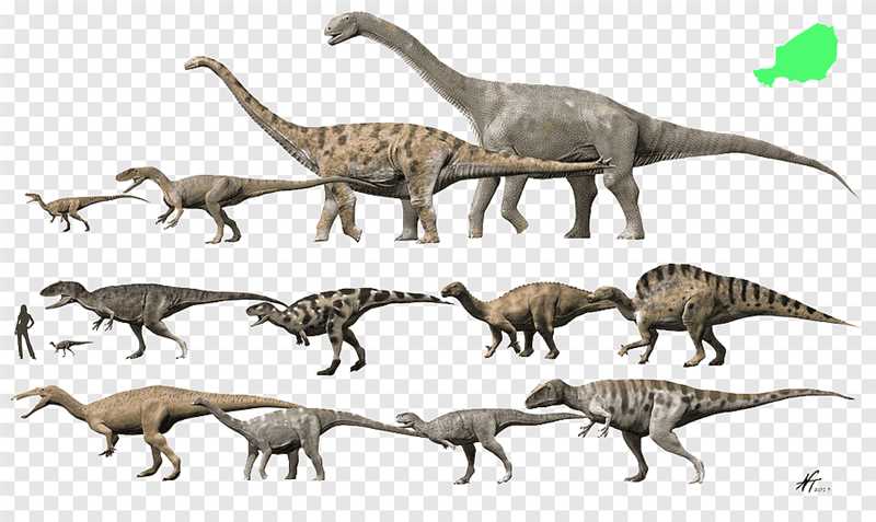 Годжиразавр (Gojirasaurus)