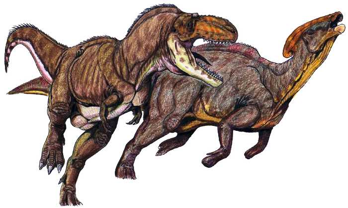 Сравнение с тираннозавром