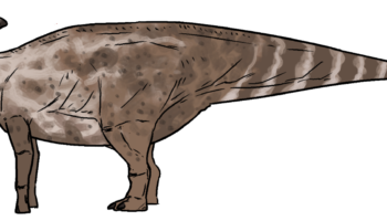 Харонозавр (Charonosaurus) — описание, характеристики и особенности