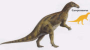 Камптозавр (Camptosaurus) — описание, особенности, исчезновение