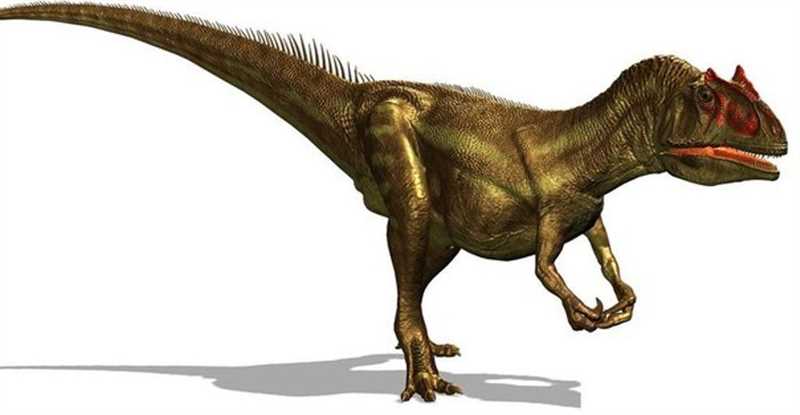 Карнозавры (Carnosauria)