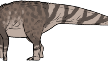 Керберозавр — загадочный динозавр-гигант