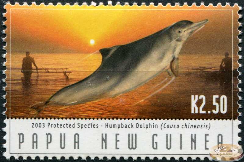 Интересные факты о китайском дельфине