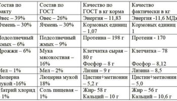 Комбикорм для свиней: виды, приготовление своими руками, особенности кормления