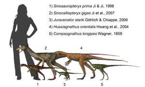 Компсогнат (Compsognathus)