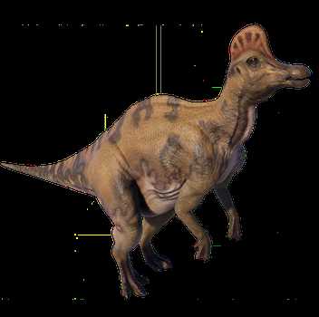 Виды коритозавров