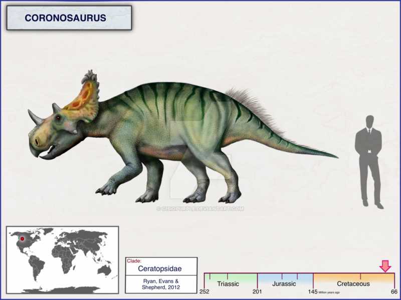 История исследования коронозавра