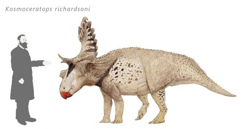 3. Вагирантегер (Vagaceratops)