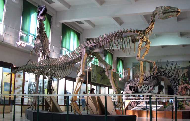 Критозавр (Kritosaurus)