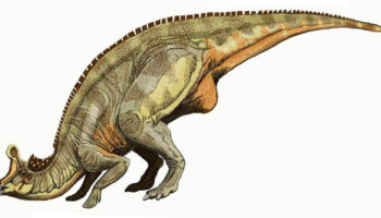 Ламбеозавр (Lambeosaurus) — описание, характеристики и образ жизни