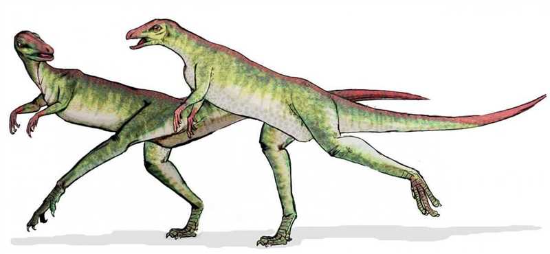 Характеристики Lesothosaurus