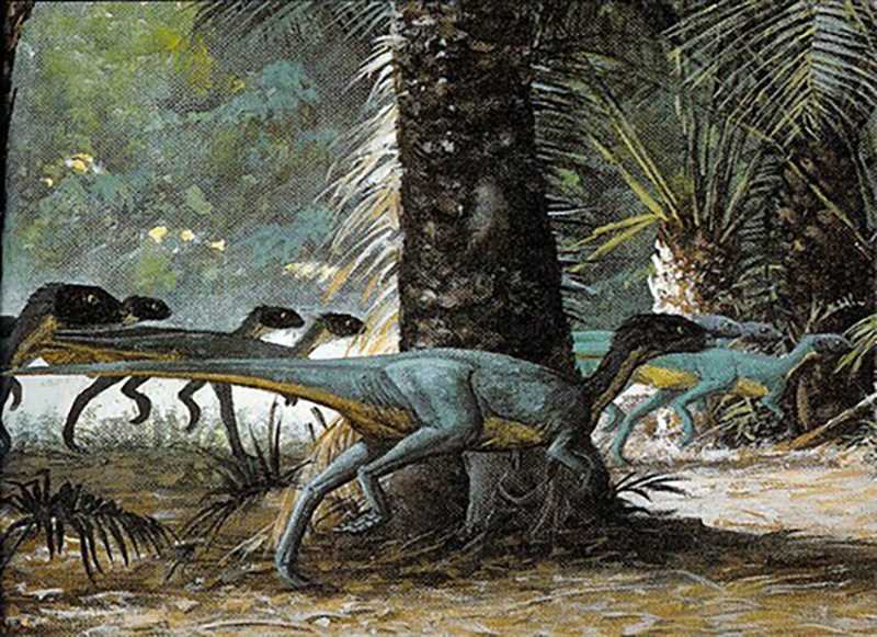 Эволюция и классификация Lesothosaurus