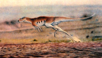 Лесотозавр (Lesothosaurus) — описание, характеристики и история открытия