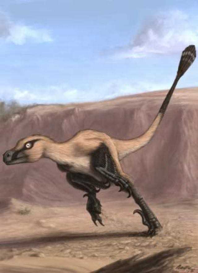 Дромеозавриды