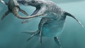 Лиоплевродон — одно из самых опасных морских хищников динозавровой эпохи