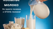 Лошадиное молоко: состав, полезные вещества и витамины, молочные продукты, польза и противопоказания для приема