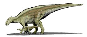 Майазавра (Maiasaura)