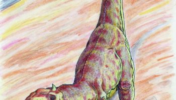 Майюнгазавр (Majungasaurus)