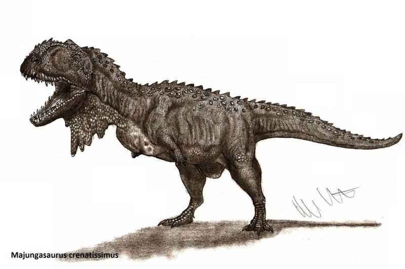 Майюнгазавр (Majungasaurus
