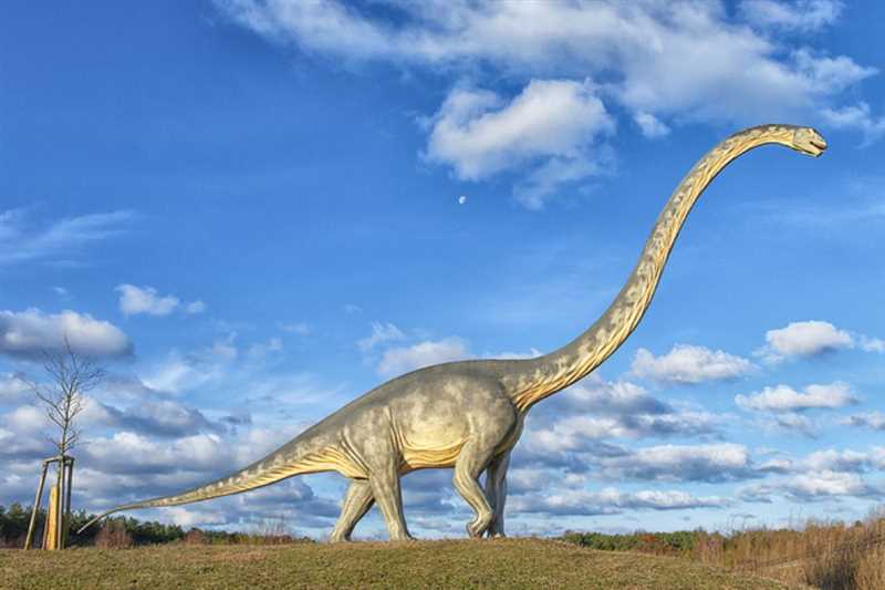 Мамэньсизавр, или маменьчизавр (Mamenchisaurus)