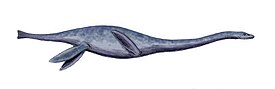 Мауизавр (Mauisaurus) — древний морской рептилия, обитавшая в океане