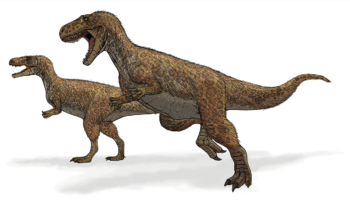 Мегалозавр (Megalosaurus) — описание, история и характеристики