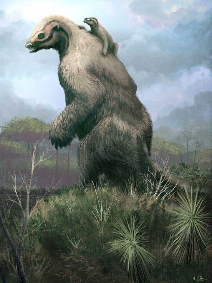 Мегатерии (Megatherium)