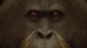 Мезопитеки — история вымерших приматов