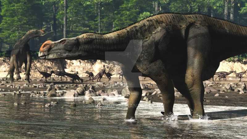 Сравнение с другими видами динозавров